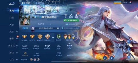 ad是什么意思王者荣耀