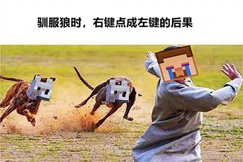 我的世界怎么驯化狼