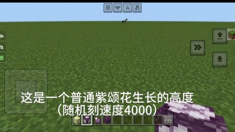 我的世界紫頌花怎么種
