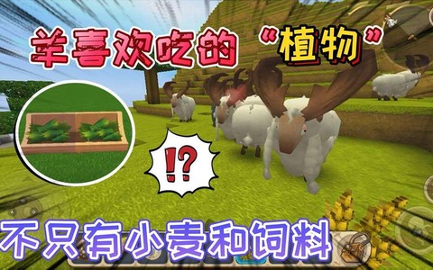 迷你世界什么动物吃草