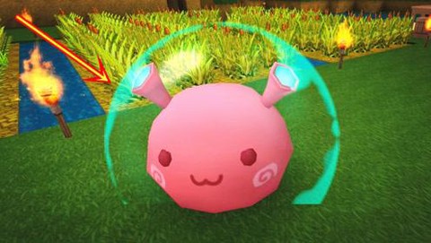 迷你世界野生团子吃什么